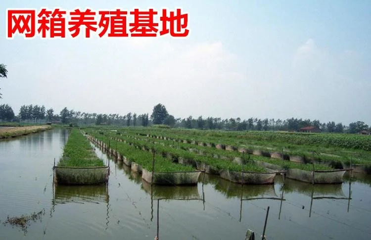 2指网箱40平方米多少钱_2