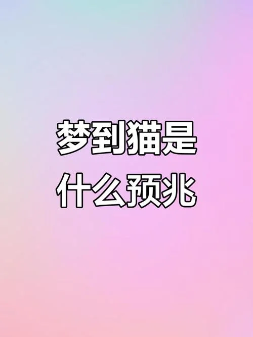 梦见猫攻击自己并打猫_2