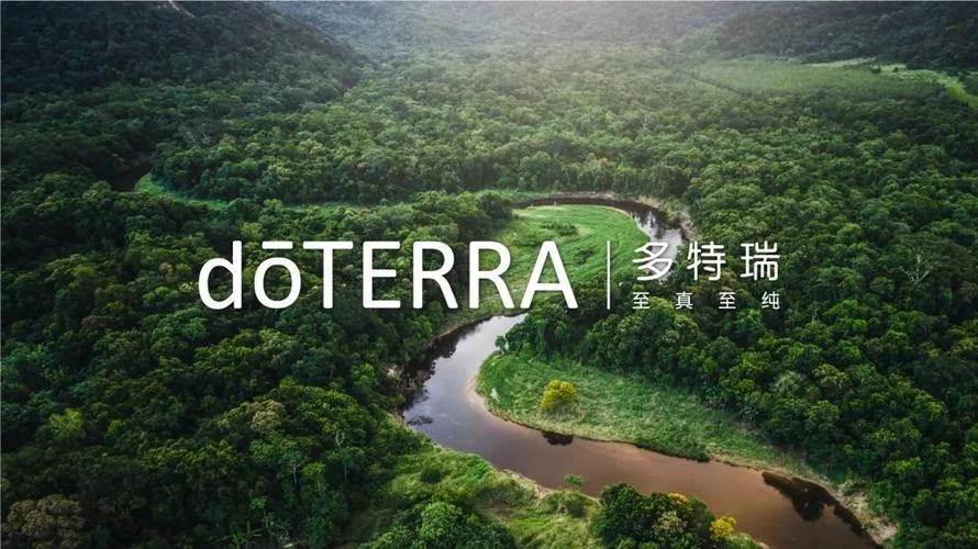 多特瑞是哪个国家_2