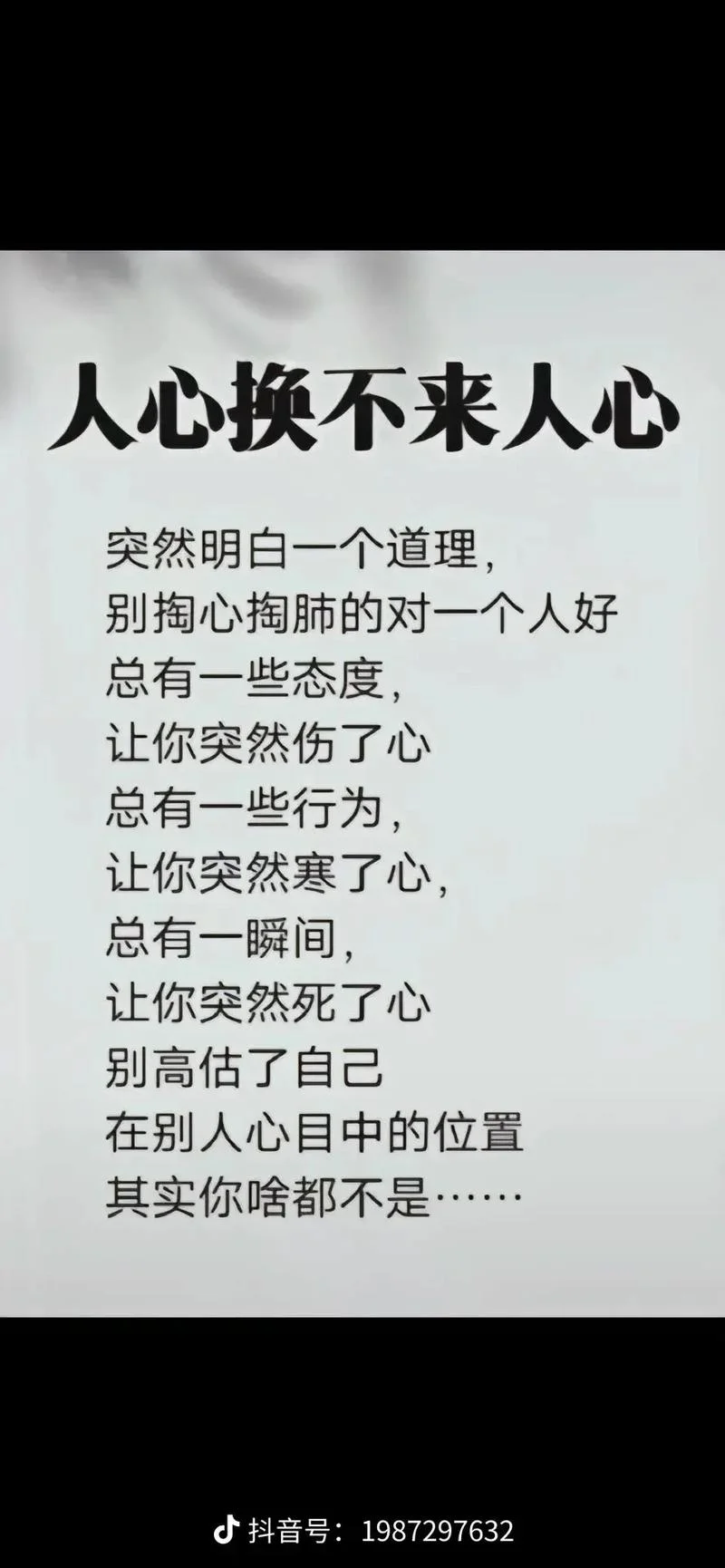 沁入心扉下一句_1