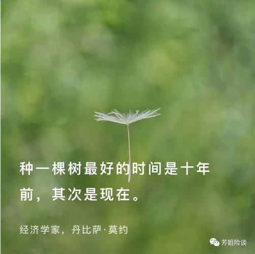 一棵大树明白什么道理_2