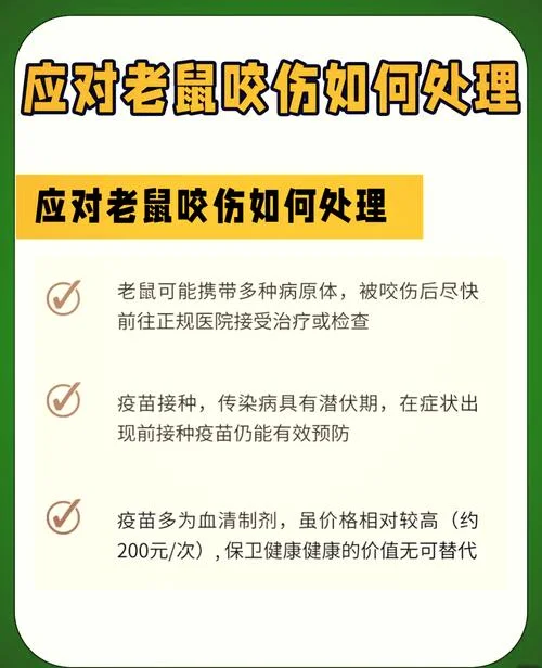 梦到死老鼠怎么办_1