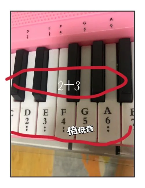 想学电子琴从哪里先学_2