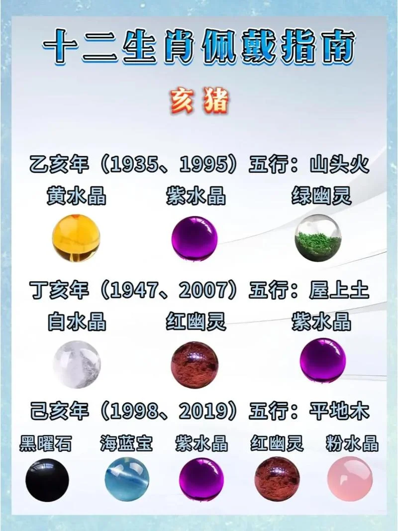 95年的猪什么命_2