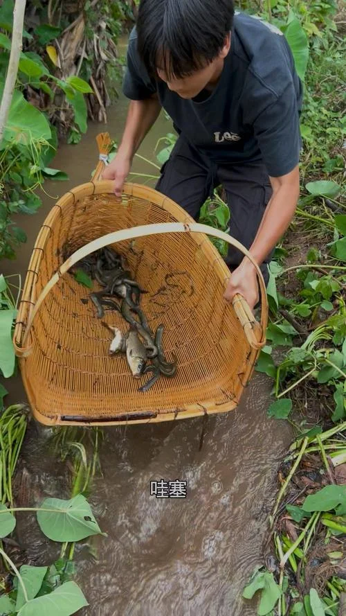 梦见下雨发大水了捞鱼_2