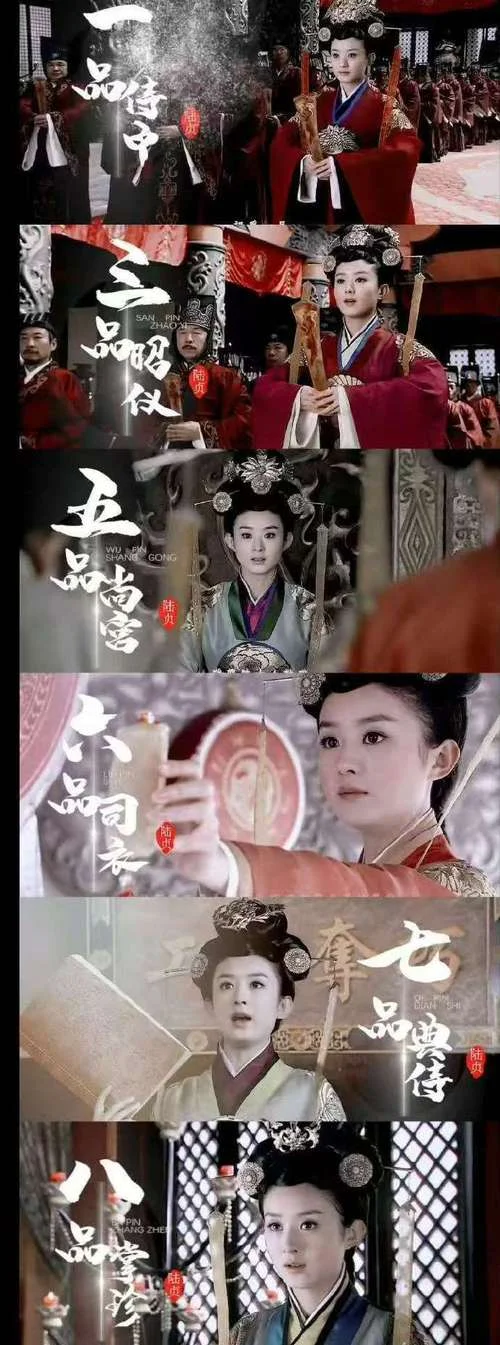 陆贞传奇哪一年播出的_2