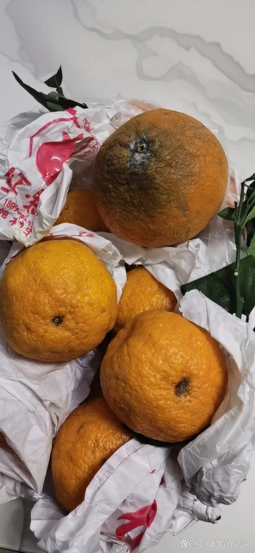 梦见吃烂桔子什么预兆_2