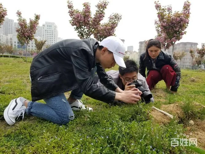 青岛编导专业艺考_1