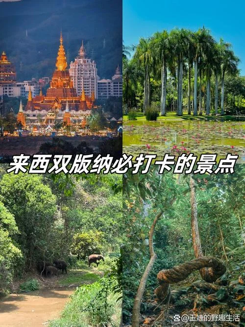 版纳旅游大概需要多少钱攻略-云南版纳旅游费用