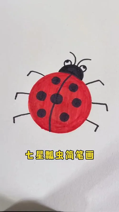 瓢虫的图片简笔画彩色-彩笔绘瓢虫简笔画