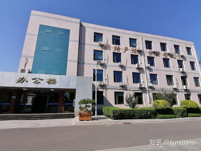 河北辛集中学网站-河北辛集中学网