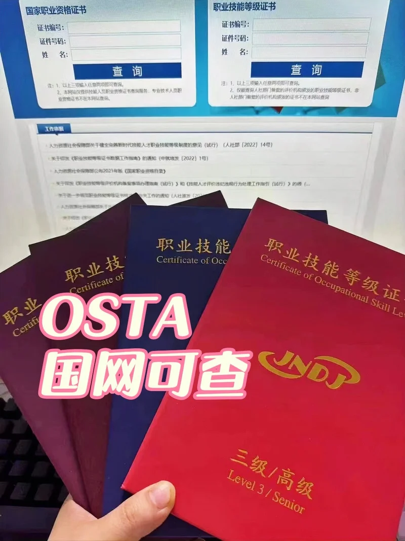 技能证书查询支付宝_1
