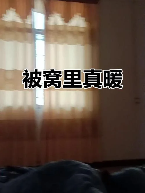 太冷了躲被窝的说说-