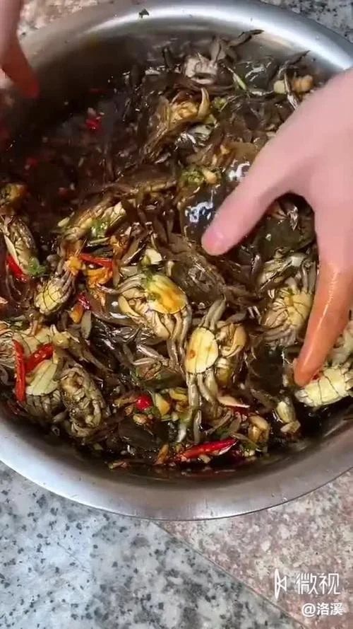 怎么用醋米打窝_2