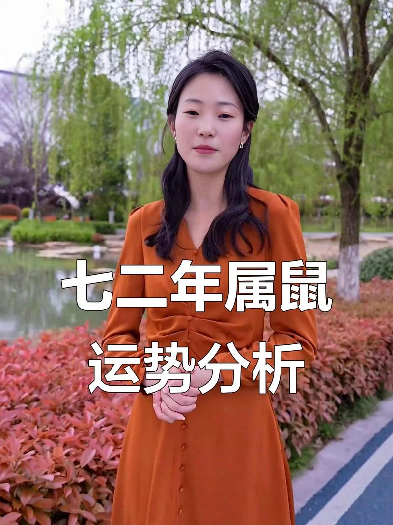 1972年属鼠2019年运势_2