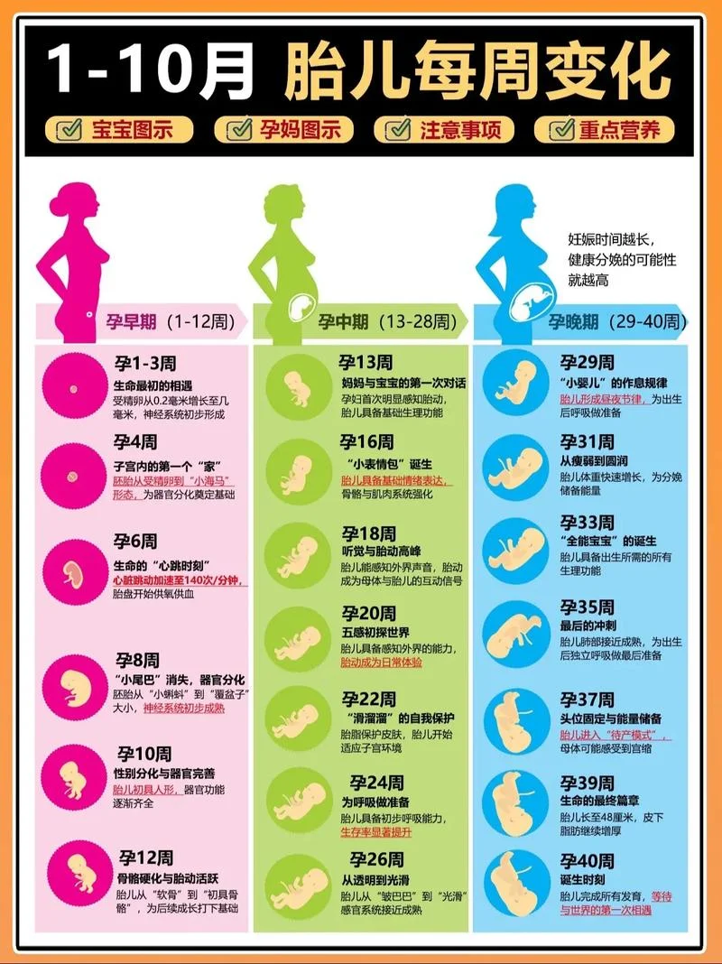 胎儿并指是几月发生_1