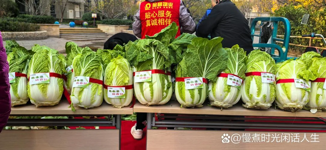梦到亲戚送白菜_2