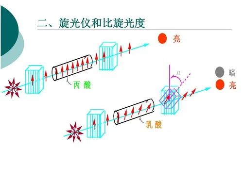 比旋光度计算公式_2