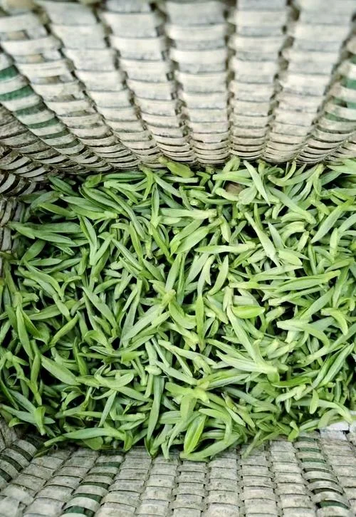 大佛龙井茶多少钱一斤_1