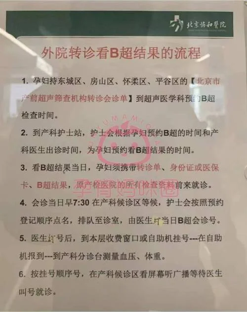 孕期b超怎么做_1