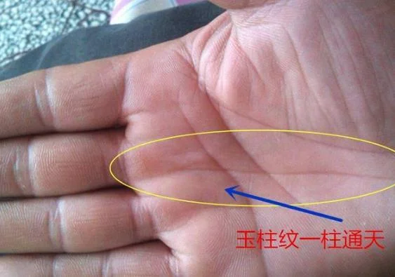 中指三条玉柱纹手相_2