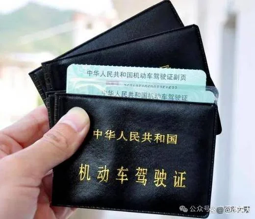 驾驶证分数在哪里查_2