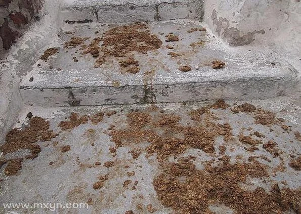 梦到屎是什么意思周公解梦_1