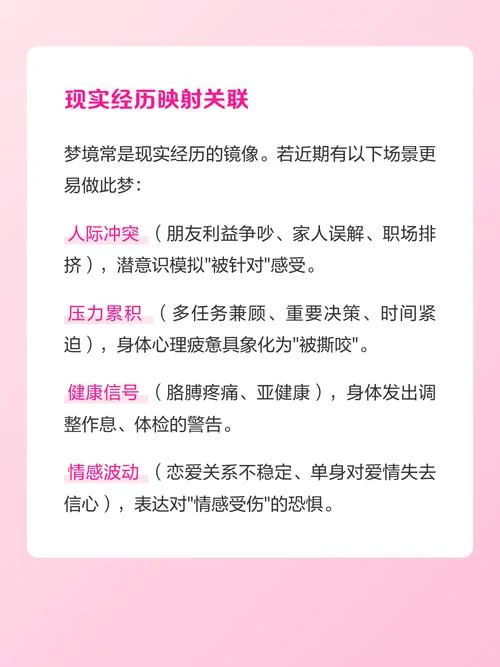 女人梦见狗扑上来咬_1