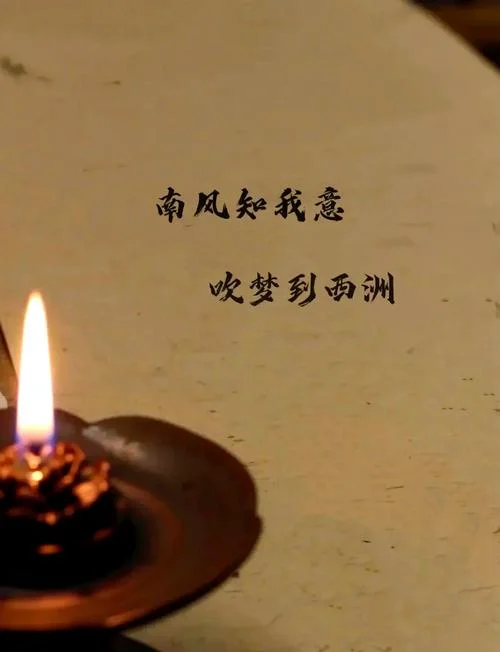 南风知我意下一句-南风知我意来
