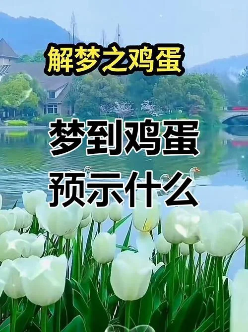 怀孕梦见捡鸡蛋_2