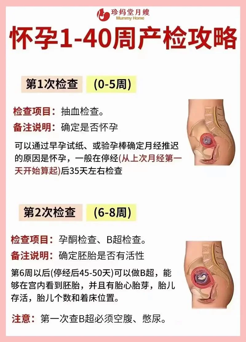 怀孕40天检查项目-怀孕 40 天检查项目