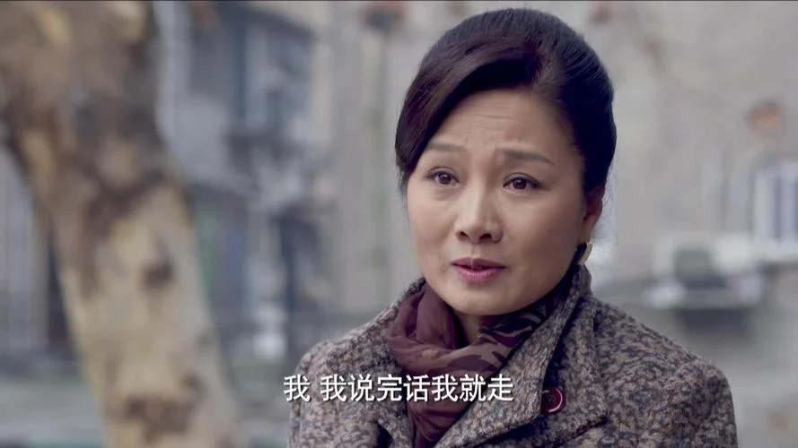 电视剧二婶结局是什么-电视剧二婶结局揭晓