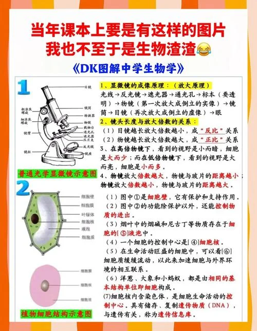 高二生物怎么样学_1