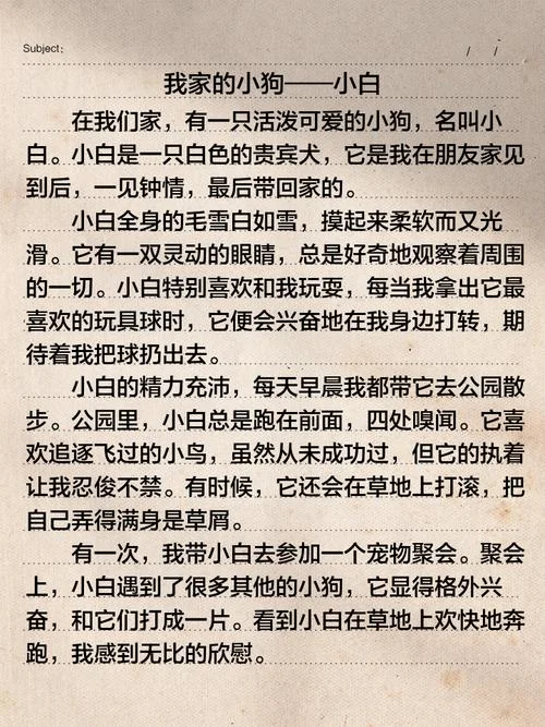 写狗的作文小学生作文_2