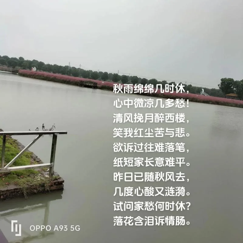 到乡烂柯人上一句_2