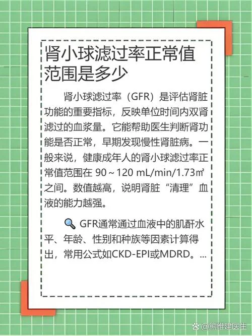 gfr计算公式正常人适用_2
