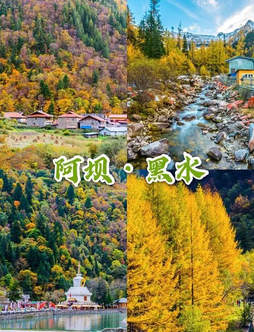 梦到黑水_1