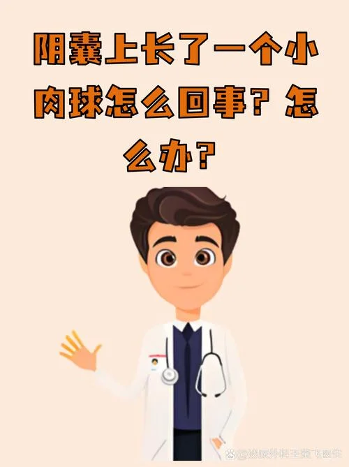 点肉痣大概多少钱_1