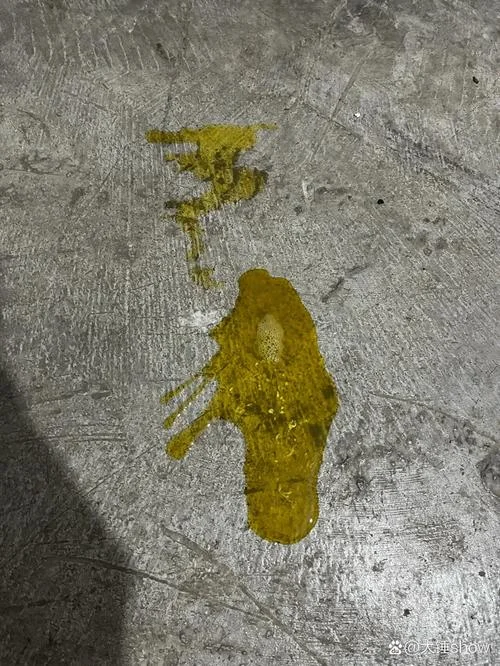 梦见拉稀到处都是_2