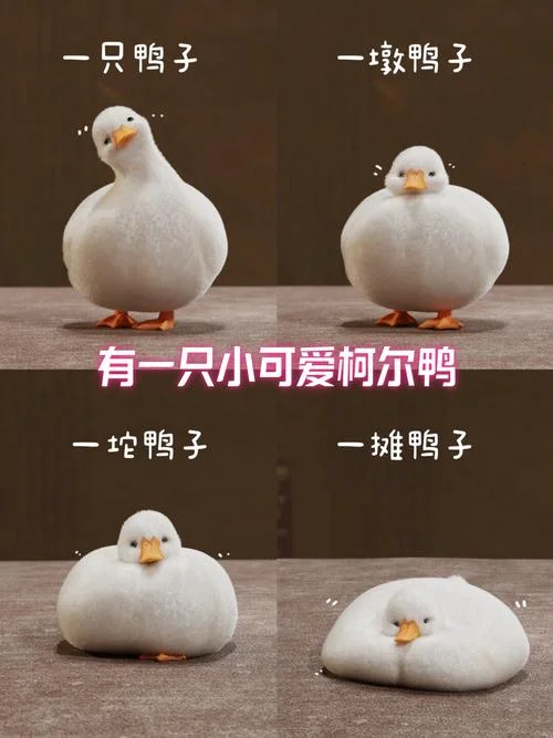 柯尔鸭多少钱_1
