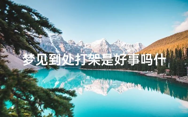 怀孕梦见打架什么意思_1