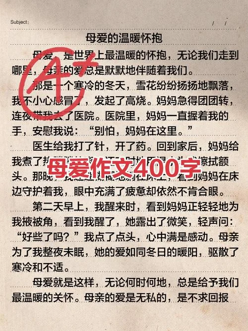 母爱中考满分作文_1