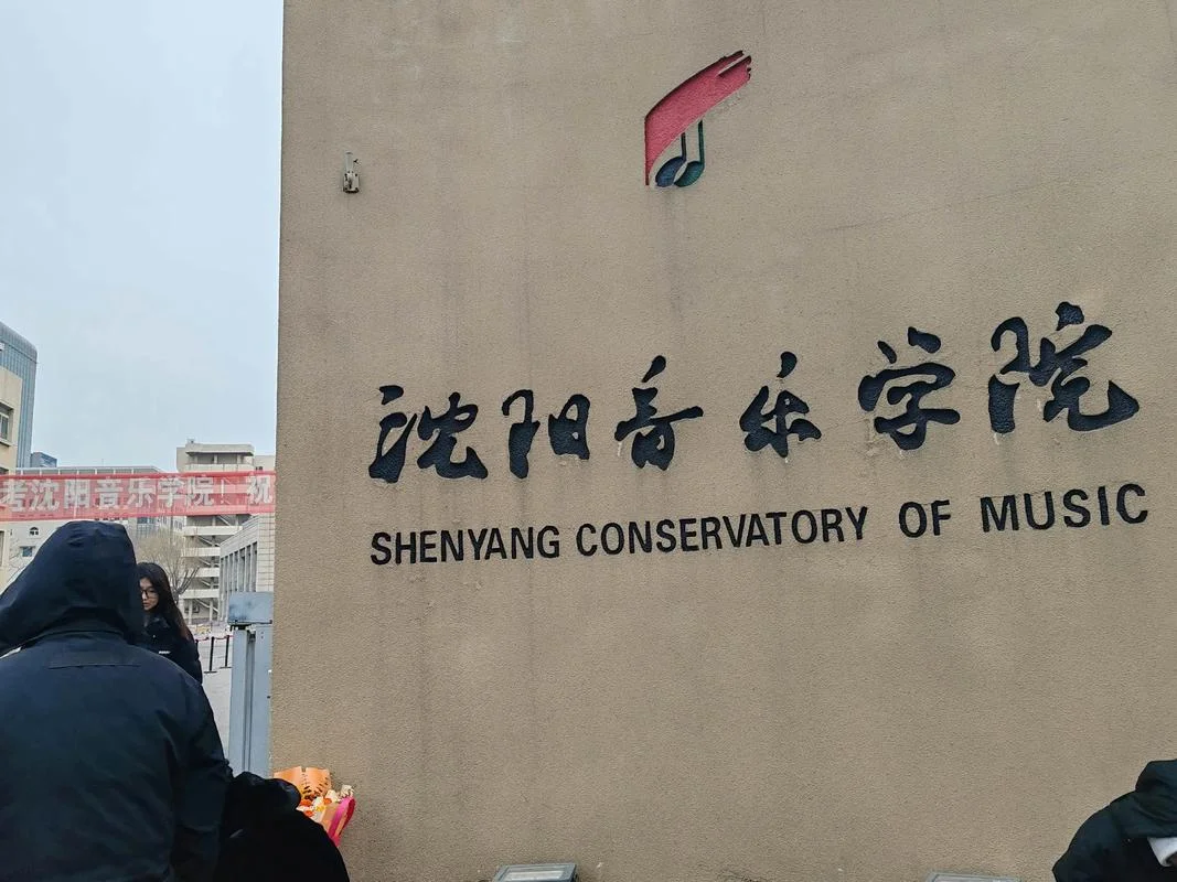 艺考音乐考什么大学_2