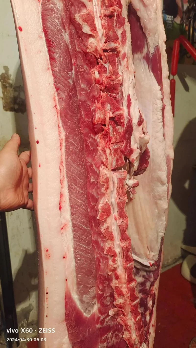 梦见好多生猪肉_1