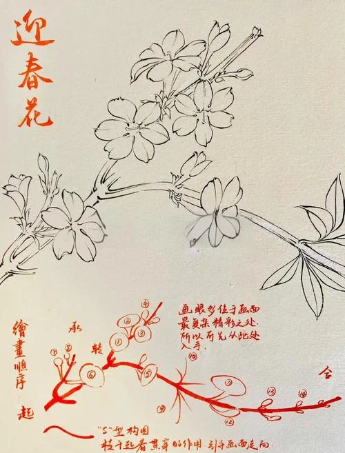 迎春花儿童简笔画_1