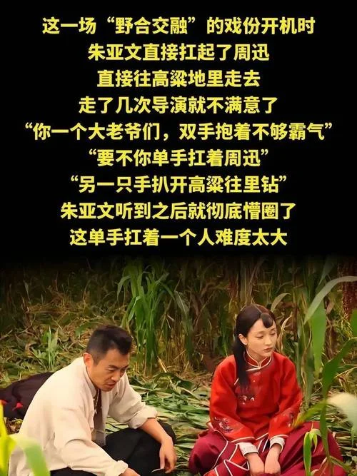 红高粱电视剧全集剧情-红高粱电视剧剧情全