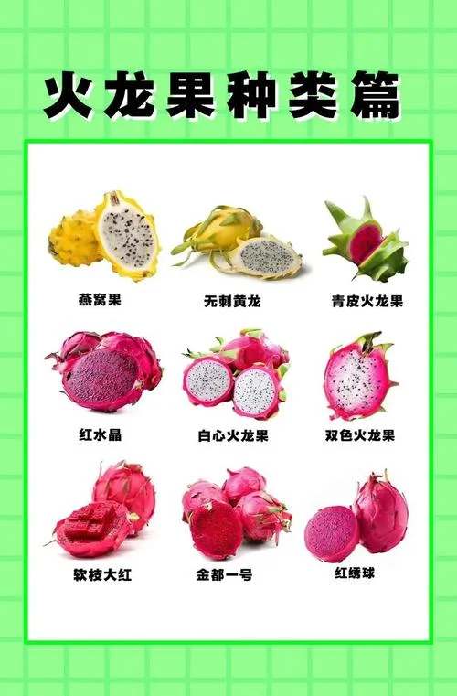 火龙果几月份成熟上市_1