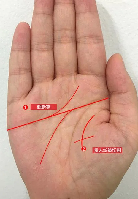 女断掌手相算命图解-女断掌手相算命图解
