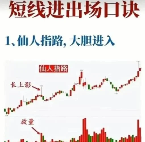 初学者怎么学炒股-新手如何炒股入门