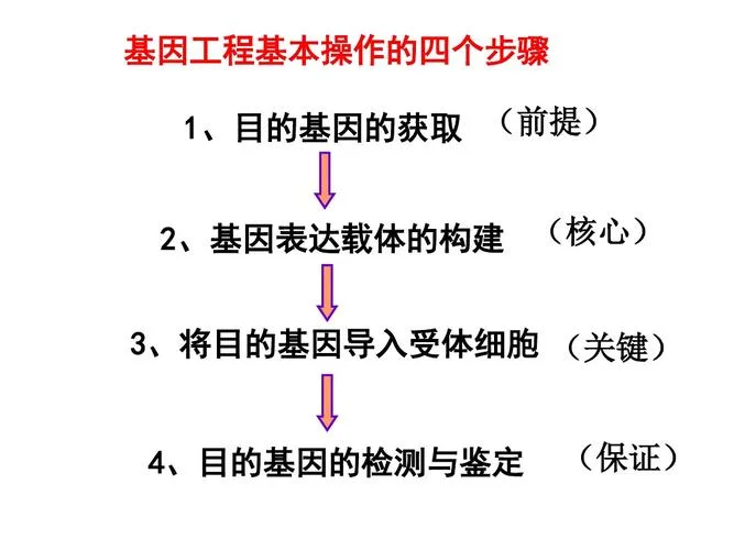 基因诊断的基本原理_2